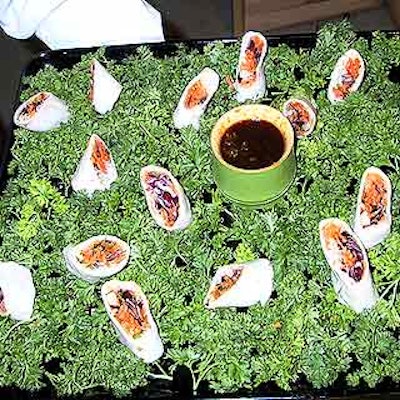 Vegetable spring rolls were served on a bed of parsley with a bamboo shoot container filled with spicy coriander dipping sauce.