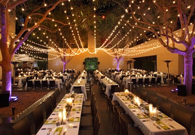 More than 530 guests sat for dinner under the canopy of lights and tree branches.