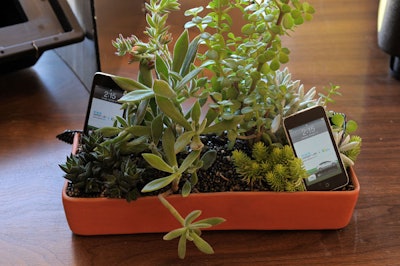 Succulents and gadgets commingled in the party space.