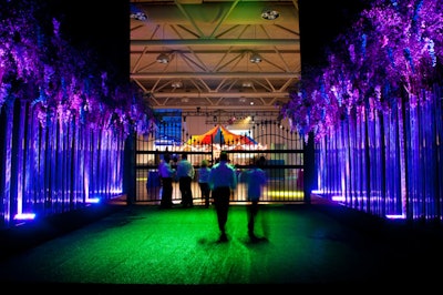 Tall glass tubes filled with branches flanked either side of the green carpet leading into the dining room.