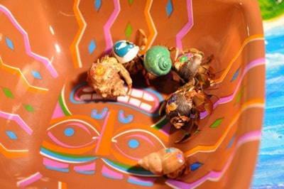 Guests could bet on hermit crabs that raced around a table for a chance to win play money. At the end of the night, the person with the most play money received a two-night stay in Las Vegas.
