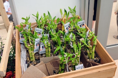 Visitors to the truck, roughly 100 agency representatives from each of the eight stops, received bamboo plants, one of the world's fastest-growing plants.
