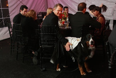 Guests at the Animal Rescue League's annual Moonlight Ball included four-legged friends in costume.