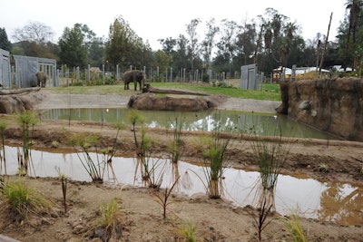 The new Elephants of Asia habitat is 16,600 square feet.