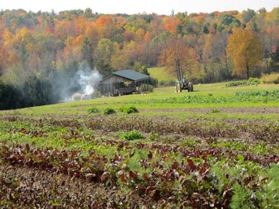 This is where food comes from! It's called a farm. This one is owned by Great Performances.