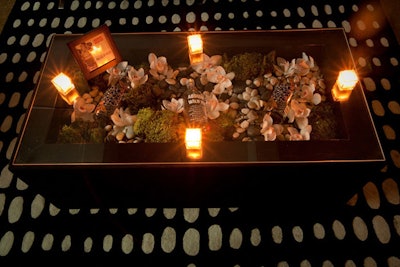 Glass-topped coffee tables housed bottles of the new product, flowers, stones, and moss.