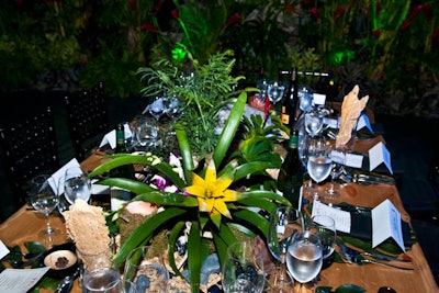 Each of the 11 tables had unique centerpieces, comprised of flowers, miniature plants, and birch candleholders covered in moss and vines.