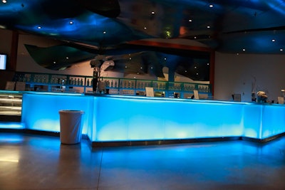 The evening began with cocktails in the lobby at the LED-lit glass bar with blue-tinted canopy.