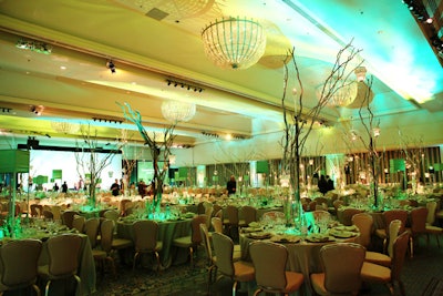 This year's gala had an Emerald City theme. 'It conveyed a message to our patrons that we have heart, we have courage, we have brains, but on this night we are trying to find a cure,' said foundation associate executive director Amy Patterson.