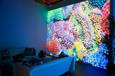 This coral projection was provided by Coral Morphologic, a marine-biologist company that specializes in aquarium art.