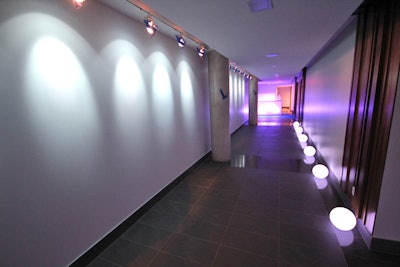A hallway entrance lined with stepping stone lights and goose-accented columns led guests to the 50-foot blue carpet.