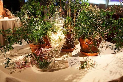 The second cocktail area was devoted to the fragrance, displaying the key ingredients of the top and heart notes, as well as those in the dry down. For instance, the main body or 'heart' note of Mon Jasmin Noir consists of sambac and 'angel wing' jasmine, so Bulgari topped one table with the plants for guests to sniff.