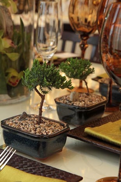 Potted bonsai trees dotted LT Evention's table.