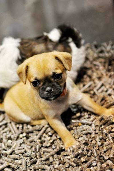 Nestlé Purina PetCare found a surefire way to attract attendees to its booth: half a dozen puppies available to pet.