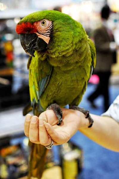 A handful of exhibitors included live animals in their exhibits, including a military macaw at the All Pet Supply booth.