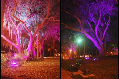 Nightly Lighting Extravaganza for the City of Tavares Wooton Park