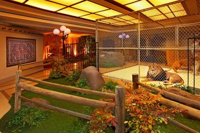 A lion and lioness, as well as the other animals, came from Jungle Exotics.