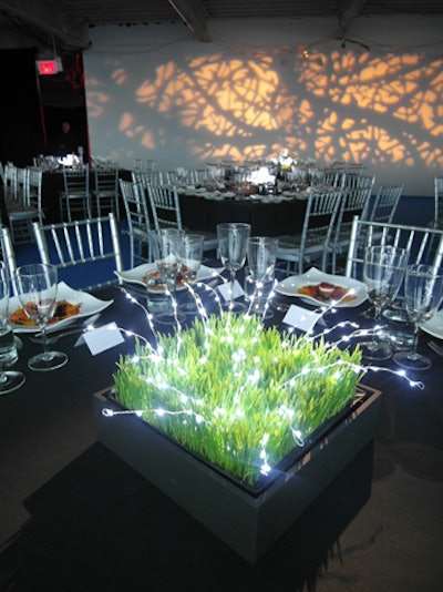 The area set aside for the seated dinner was as modern in design as the cocktail space, and held more lighting components in connection with the evening's theme. This included tree-patterned projections and tabletop centerpieces of grass and fiber-optic lights.