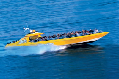 Seadog Cruises operate throughout the summer and depart from Navy Pier. The boats can be rented out for groups with as many as 400 guests.