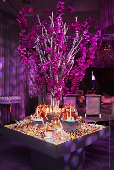 A silver-leaf tree with branches of phalaenopsis orchids surrounded a seafood display. The food station offered Kumamoto oysters, colossal tiger prawns, Florida stone crabs, Alaskan king crab legs, lobster, pink scallops in the shell, and ice grape Mignonette saffron tartar and Bloody Mary cocktail sauces.