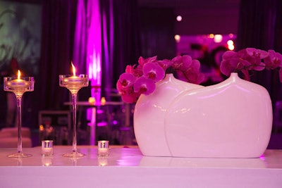 White containers held phalaenopsis orchids.
