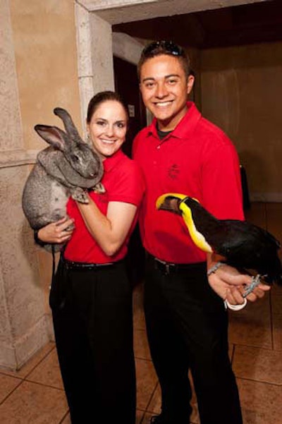 Busch Gardens Tampa Bay brought in a 14-pound Flemish rabbit and a toucan to greet guests.