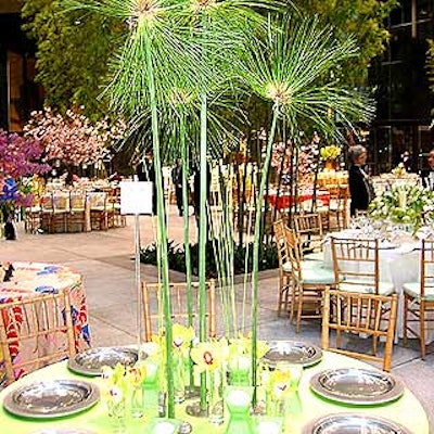 Fiori Limited's Phillip Haight created a stark, original table with tall, wispy papyrus stalks and single cymbidium orchid blossoms placed in individual vases. The lime green theme was offset by pewter charger plates.
