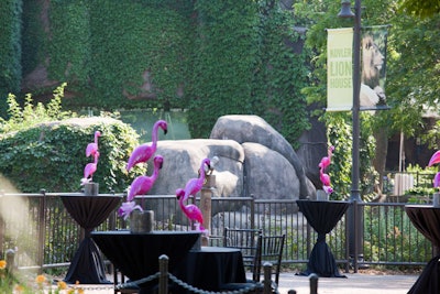 The cocktail area had a 'Flamingo Lounge' theme and overlooked the Kovler Lion House.