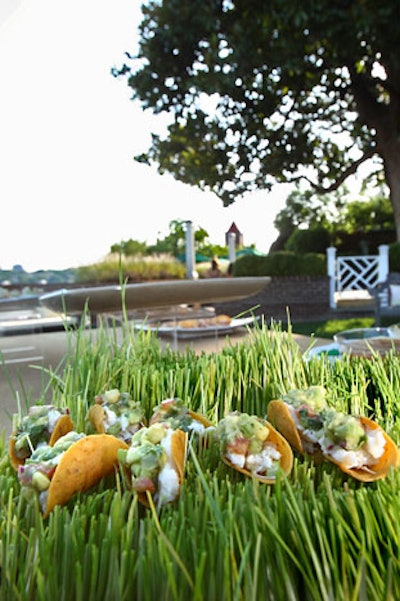 Crab and avocado tacos sat atop a grass-covered tray on the buffet.