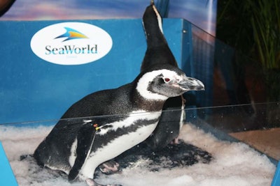 SeaWorld Reception