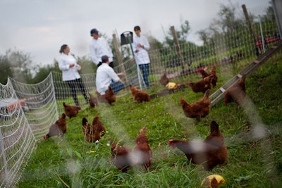 The event took place at the Farm, a four-acre plot at Long Island Shelter that supplies organic fruits, vegetables, and herbs to the city's homeless.