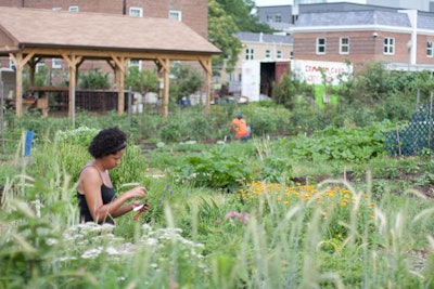 At Common Good City Farm, volunteers perform tasks like planting, harvesting, weeding, and composting.