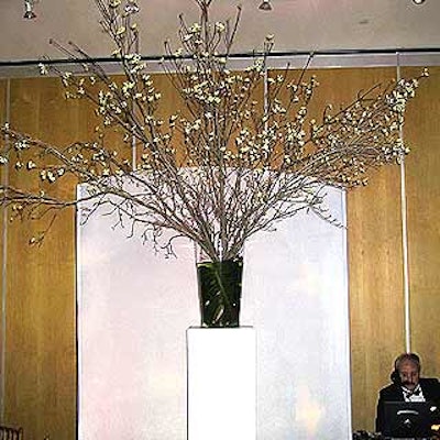 White dogwood was placed atop a white pedestal in the back of the main dining room.
