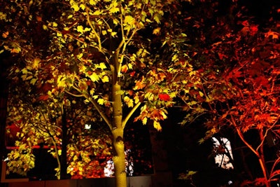 Suspended mirrors were strategically placed behind the groves of trees at dinner to magnify their presence. Van Wyck brought in redbud and sycamore trees ranging in height, from 12 to 14 feet tall, and an array of rich colors, like burgundy, plum, and blood red.