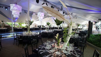 The Lincoln Park Zoo Ball