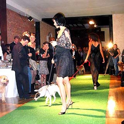 Models attired in vintage Bill Blass dresses walked in a short fashion show with dogs available for adoption through the Human Society.