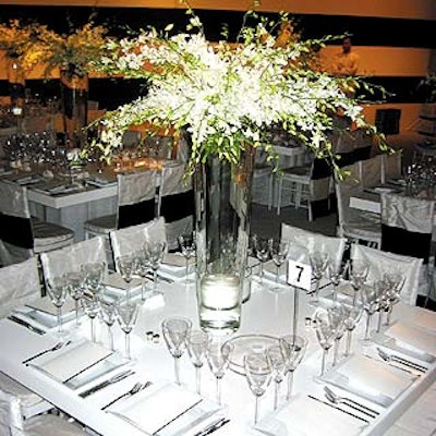 Absolutely Wild filled tall clear vases with white flowers on the white side of the room.