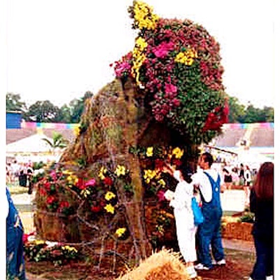 E259sho 00 0831 Floweringcow 1 320