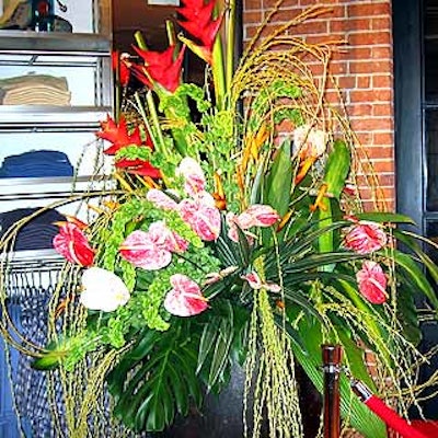 Tomik Productions added bird-of-paradise flowers from Australia to give the store a nature-friendly feel.