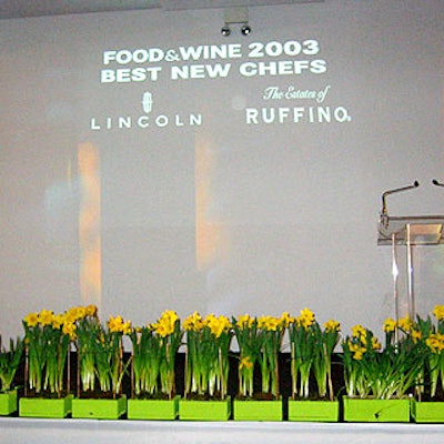 The front of the stark white stage was lined with potted daffodils.