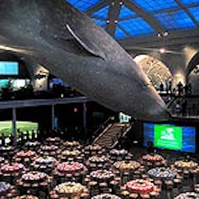 The just-renovated Hall of Ocean Life made a fitting venue for the dinner, considering the group's mission to promote global biodiversity.
