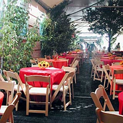 Robert Isabell gave a summer garden feel to the dining area with imported potted trees, bright tablecloths and sunflower centerpieces.