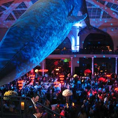 The after-party for the 2003 Glamour Women of the Year awards was held in the American Museum of Natural History's Milstein Hall of Ocean Life, where the giant blue whale replica created a dramatic space.