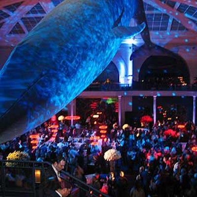 The after-party for the 2003 Glamour Women of the Year awards was held in the American Museum of Natural History's Milstein Hall of Ocean Life, where the giant blue whale replica created a dramatic space.