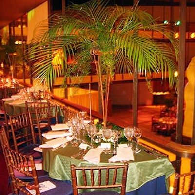 For Jazz at Lincoln Center's fall gala, event designer David Beahm placed centerpieces of miniature palm trees on the dinner tables. Half tables on the upper level gave second-floor attendees a better view of the main floor.