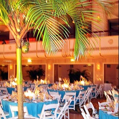 Beachy decor at the March of Dimes' Million Dollar Beauty Ball included potted palms lining the dance floor in the Waldorf=Astoria's grand ballroom.