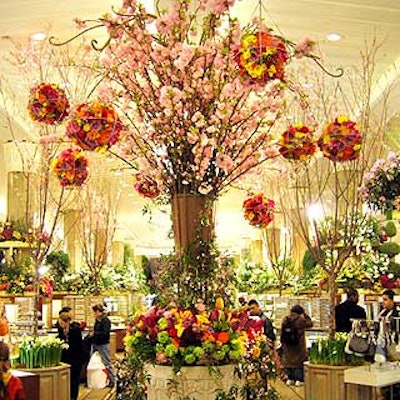For his 'Bouquet of the Day' arrangement at the Macy's Flower Show, Jorge Cazzorla of Celebrate Flowers designed a base stuffed with tulips, roses, peonies, lilies, viburnum and cascading jasmine. Multicolor orbs made of roses and freesia hung from the arrangement's towering main structure, composed of branches of cherry blossoms.