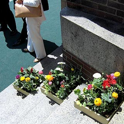 Gerberas and ranunculi in square wooden boxes lined the staircase outside the venue.