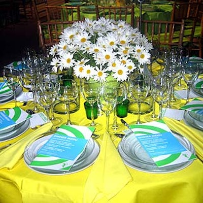 Centerpieces were flower pots filled with white daisies.