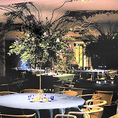 The curly willow branches in the centerpieces in the blue lounge seemed to grow into the ceiling.